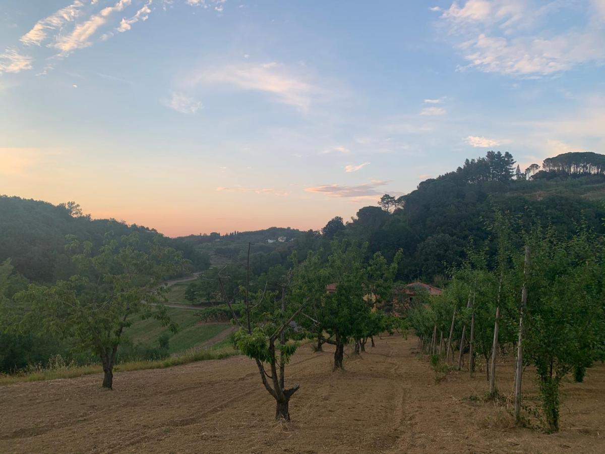 Commuoversi Ssa - Azienda Agricola Otel Usigliano Dış mekan fotoğraf